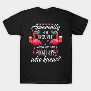 Apparently We Are Trouble When We Are Together T-Shirt